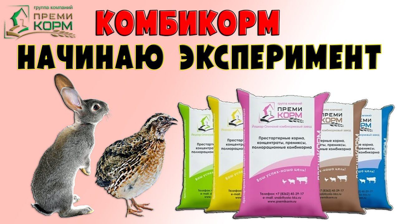 ПРЕМИКОРМ. Начинаю эксперимент с кормлением смотреть онлайн