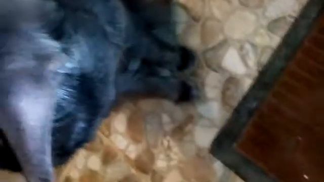 Когда занят туалет смотреть онлайн