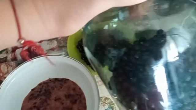 Бог велел делиться))/перитёртая смородина