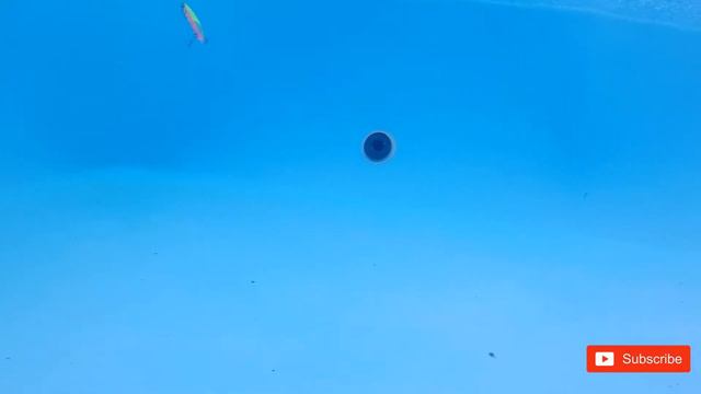 Pontoon21/Bet A Minnow/ Underwater Fishing Lure Test