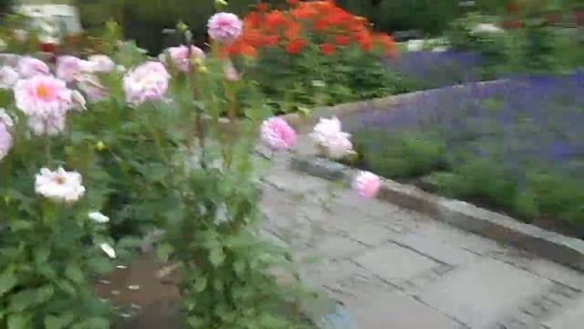 Palmengarten, Frankfurt - Gardênia смотреть онлайн