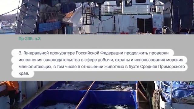 Последних узников китовой тюрьмы выпустили на свободу смотреть онлайн