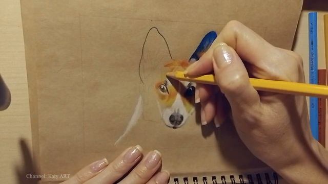 РИСУЮ собаку Корги | Corgi смотреть онлайн