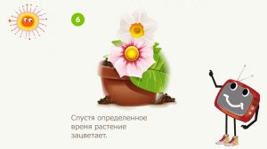 Как растёт цветок? Познавательное видео для детей.
