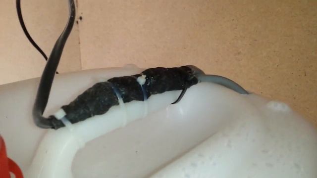 Поилка для Кроликов с подогревом смотреть онлайн