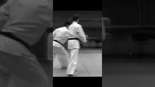 Kenji Ito Sensei demonstrates hiji ate kokyu nage смотреть онлайн