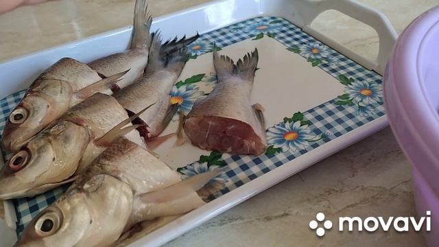 РЫБНЫЕ КОТЛЕТЫ, которые вы будете готовить снова и снова #котлеты #рыбныекотлеты /ՁԿԱՆ ԿՈՏԼԵՏ смотреть онлайн