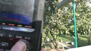 спутниковое ТВ (1)