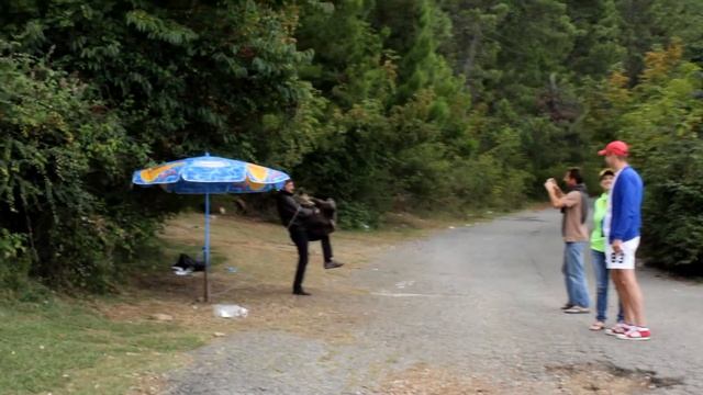 Абхазия гора Мамзышха, бурый медведь на смотровой площадке смотреть онлайн