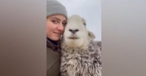 Смешные приколы Февраль 2023 #62