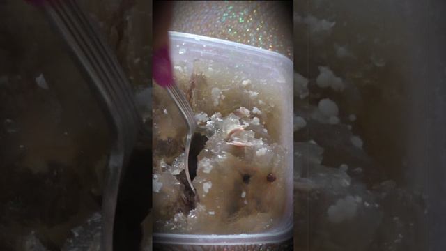 Домашний холодец - вкусный и полезный смотреть онлайн