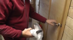 Голуби КАСАНЫ, КОСОНИ .У Саши афганца.( часть - 3)