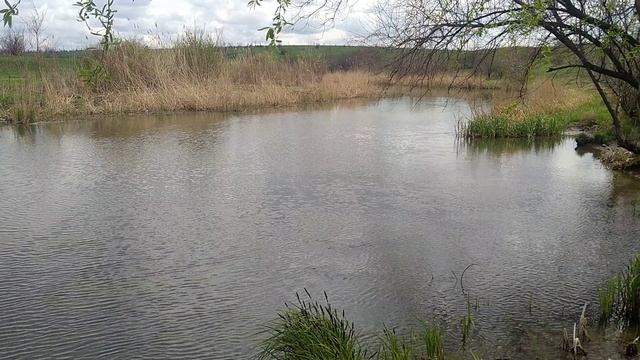 Кальмиусское отделение заповедника "Степь донецкая" смотреть онлайн