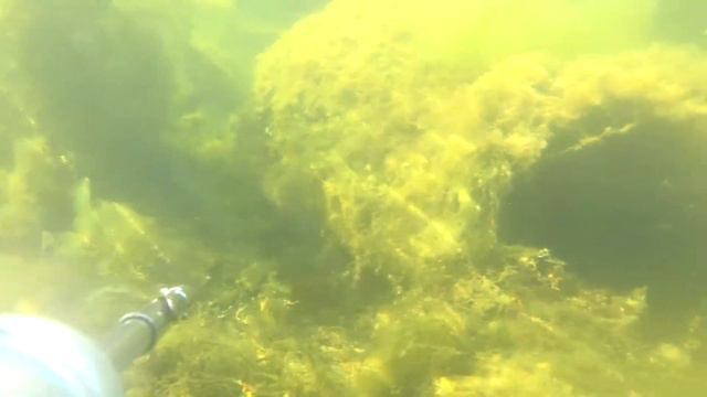 Прогулка по водным просторам. Озеро Увильды, Челябинская обл. смотреть онлайн