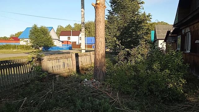 Железный забор. Затеял  сделать палисадник.