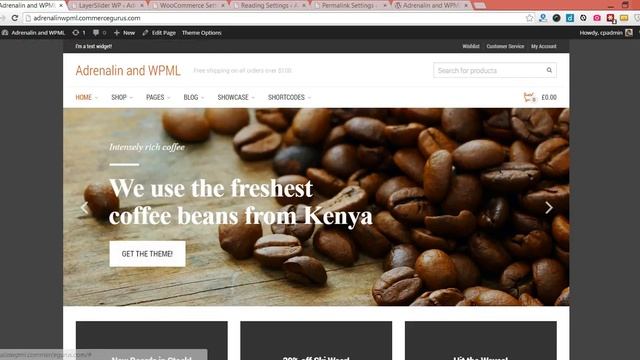 WooCommerce & WPML with Adrenalin Theme - Part 2 смотреть онлайн