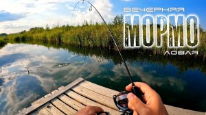 Вечерний мормышинг на малой реке