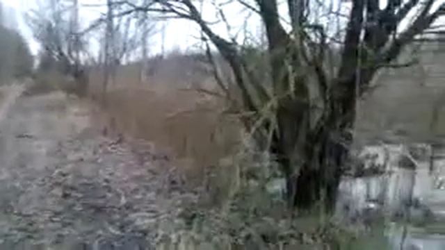 Охота на лося смотреть онлайн