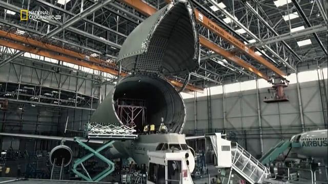 Летающий Кит: Beluga XL смотреть онлайн