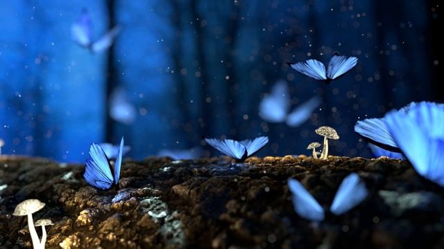 5-Minute Deep Meditation To The Sounds Of The Piano And Nature смотреть онлайн