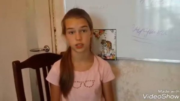 Игрушки для собак/??/Ann happy pets tv