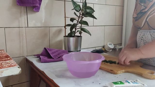 Капли в нос ? от насморка ?.Как приготовить из листьев Каланхоэ Дегремона . смотреть онлайн