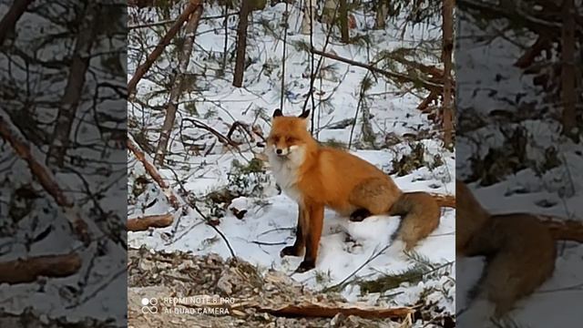 песня - Не заходи в наш мир смотреть онлайн