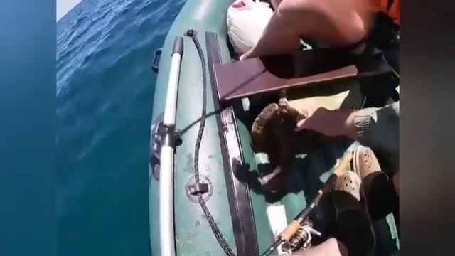 АНОНС. Новое путешествие. Теперь на Дальний Восток. смотреть онлайн