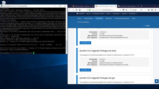 Learn Joomla 3.8+ : 2 : Update Joomla via Command Line смотреть онлайн
