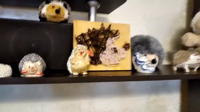 Рассказ о питомце смотреть онлайн