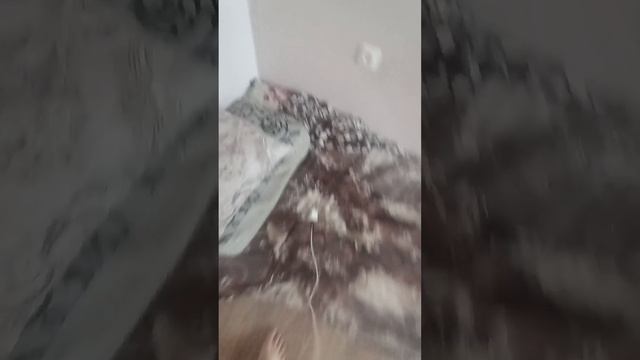 зарядка ходит