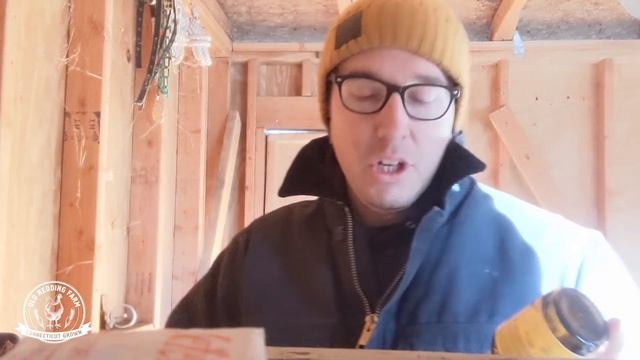 ALPACA 101 | What Do Alpacas Eat? And Other Frequently Asked Questions | Ask An ALPACA FARMER