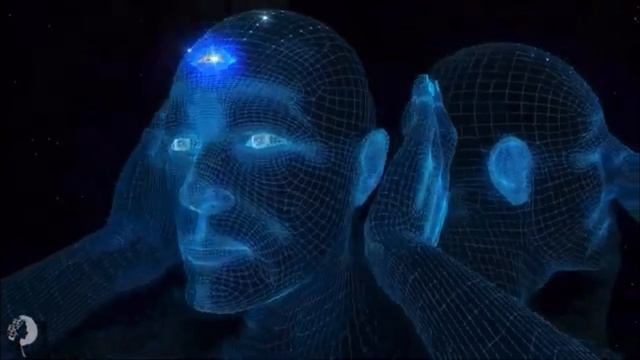 Почему бы им нас просто не убить?