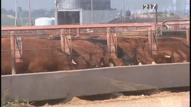 Storage Methods for Ethanol Co-Products - Introduction смотреть онлайн