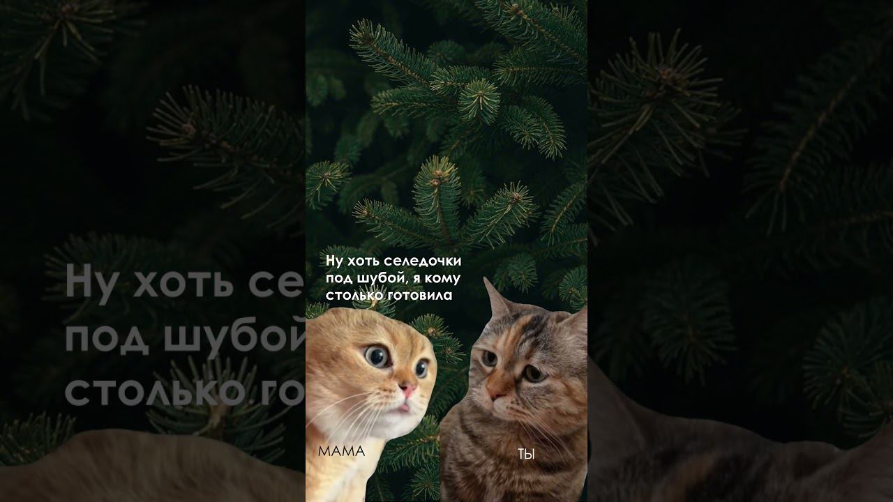 Прошлогодние салатики смотреть онлайн