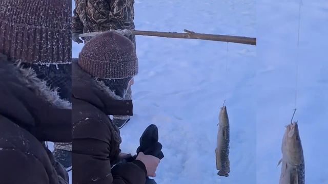 Тепло для слабаков или как мы съездили на Полюс Холода. Якутия 2020 смотреть онлайн