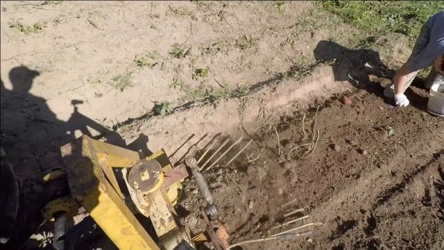 Самодельная картофелекопалка на МТЗ-80. смотреть онлайн