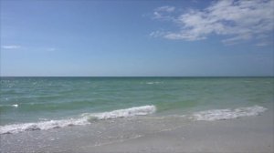 Живи в ритме Сильва - Хосе Сильва. 1 Упражнение:  Более полное использование ресурсов мозга и разум