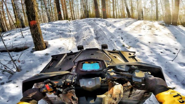 2020 QUAD BIKE - POV TEST DRIVE