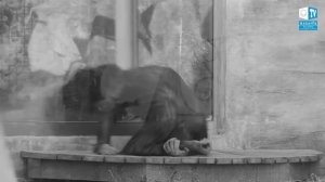 как избавиться от алкоголизма