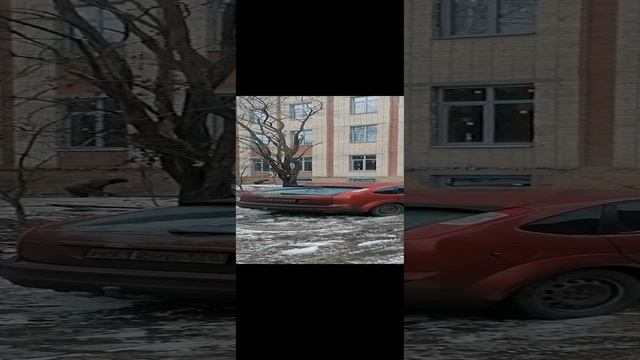 VID_20221125_двор[1].mp4 смотреть онлайн