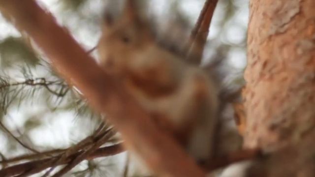 СЕГОДНЯ уже быть счастливым смотреть онлайн