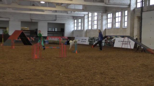 6.03.17 Аджилити. А1, А2(13) смотреть онлайн