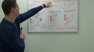 СТРАТЕГИЯ трейдинга по Ларри Вильямсу. Форекс индикатор WPR