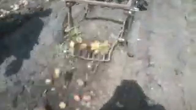 Видео0024 копалка самодельная кмз-012 смотреть онлайн