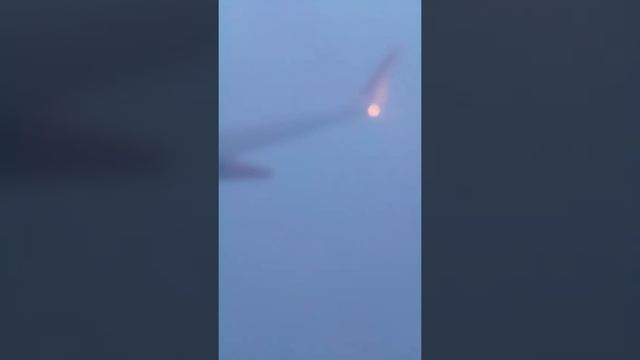 Lot Ryanair Gdańsk Warszawa смотреть онлайн