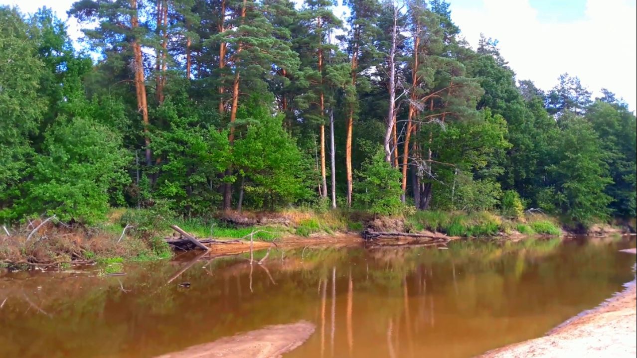 РЕКА ПРА 2022.09.04 смотреть онлайн