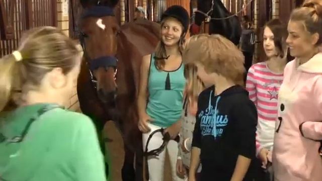 Городской оздоровительный лагерь смотреть онлайн