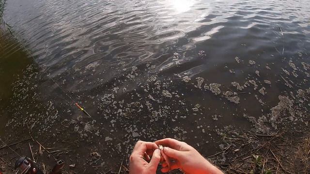 Рыбалка. х Ольховский. Красноперка. Черепаха смотреть онлайн