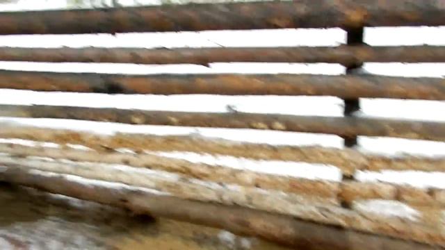 Безнаказанный беспредел Сузунских охранников леса смотреть онлайн